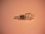 Halogenp�re 20W 12V
